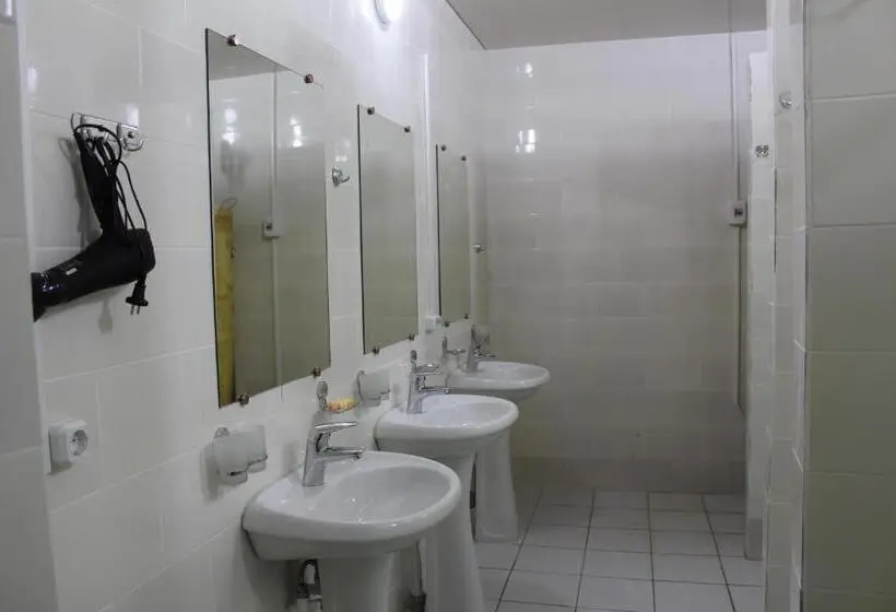 اتاق استاندارد با سرویس بهداشتی مشترک, Park Hostel Osh