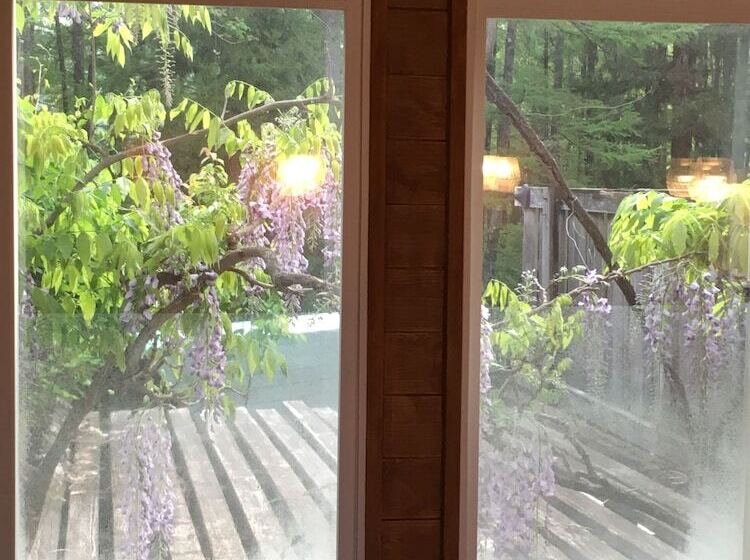 اتاق استاندارد چهار تخته, Pension Old String