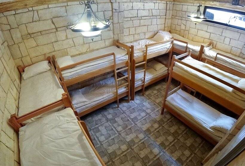 تختخواب در اتاق مشترک, Retro Hostel & Tours