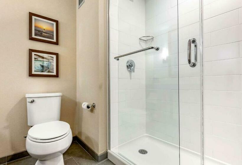 Люкс Кровать Кинг, Comfort Inn & Suites