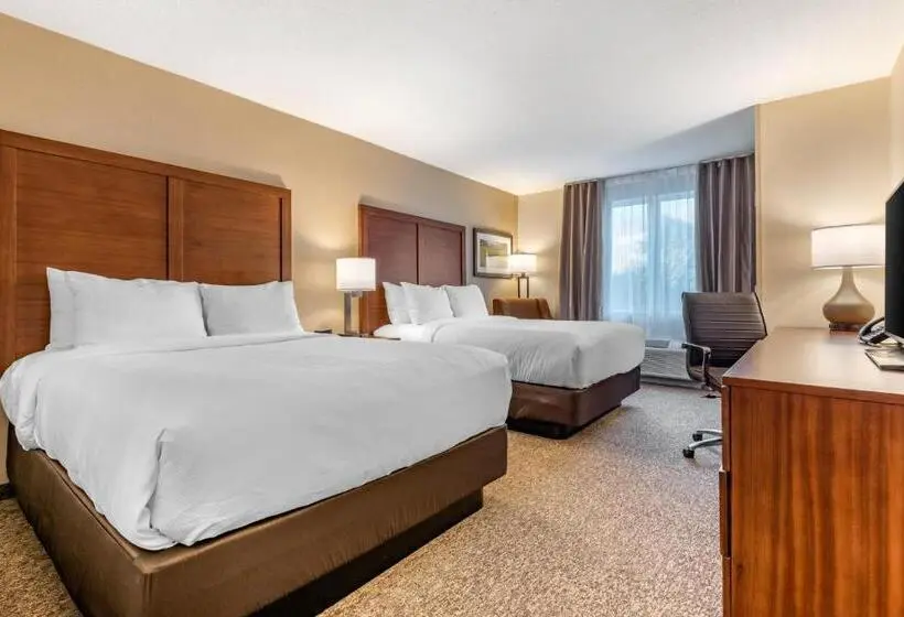 スタンダードルーム, Comfort Inn & Suites