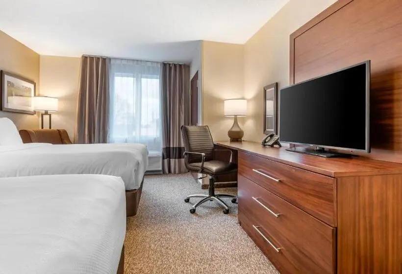 スタンダードルーム, Comfort Inn & Suites