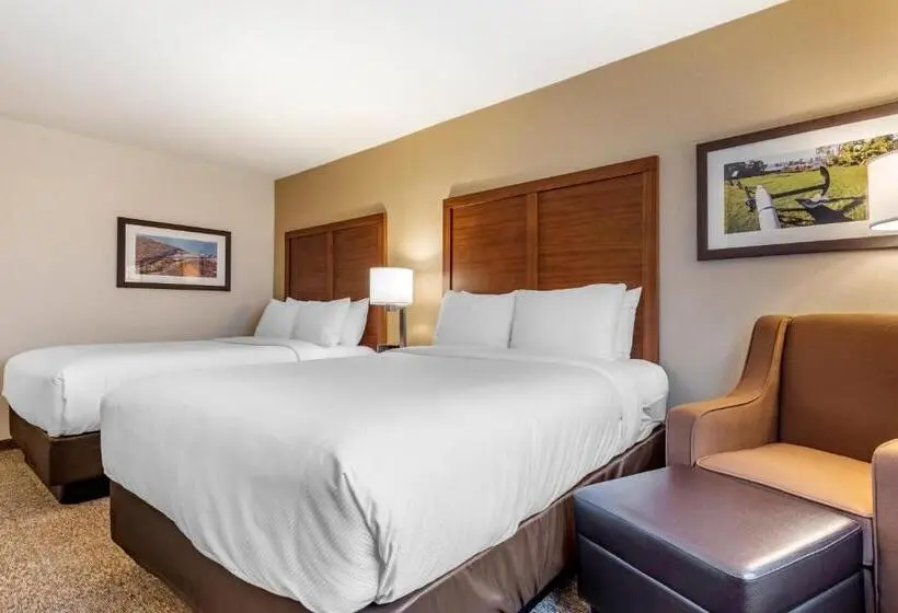 スタンダードルーム, Comfort Inn & Suites