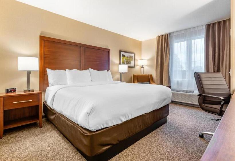 Стандартный Номер Кровать Кинг, Comfort Inn & Suites