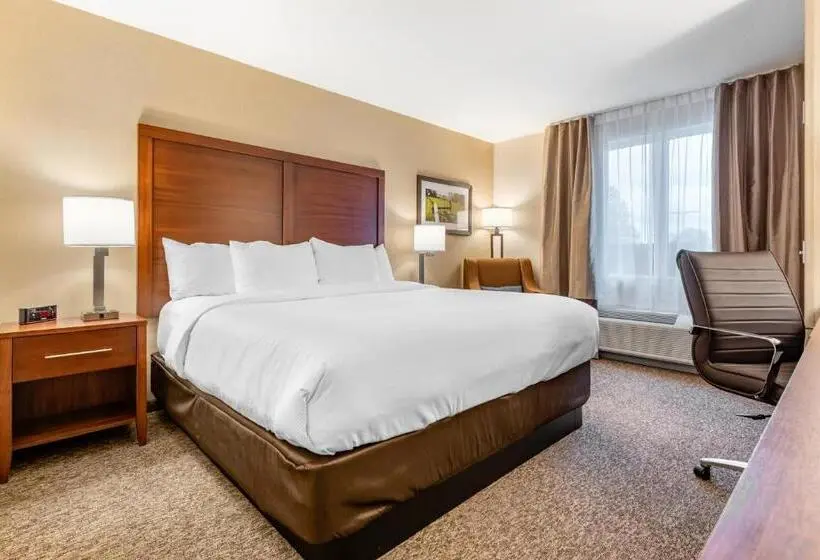 キングサイズベッドのスタンダードルーム, Comfort Inn & Suites