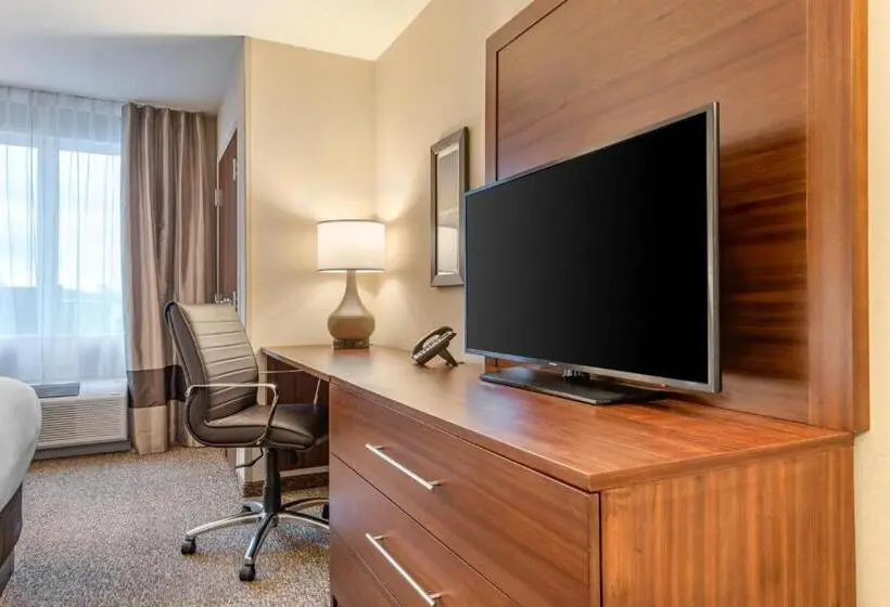 キングサイズベッドのスタンダードルーム, Comfort Inn & Suites