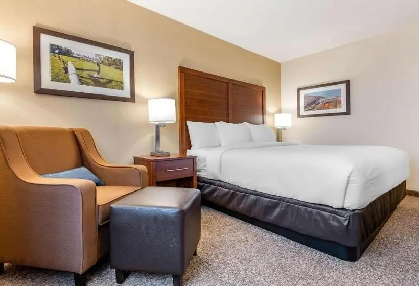キングサイズベッドのスタンダードルーム, Comfort Inn & Suites