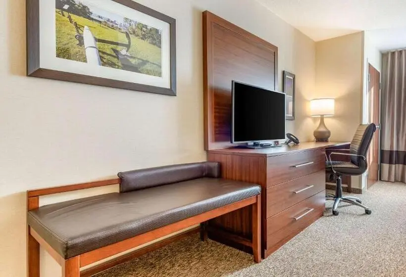 キングサイズベッドのスイートルーム, Comfort Inn & Suites