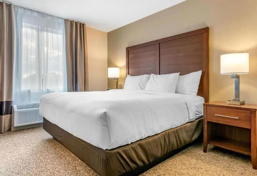 キングサイズベッドのスイートルーム, Comfort Inn & Suites