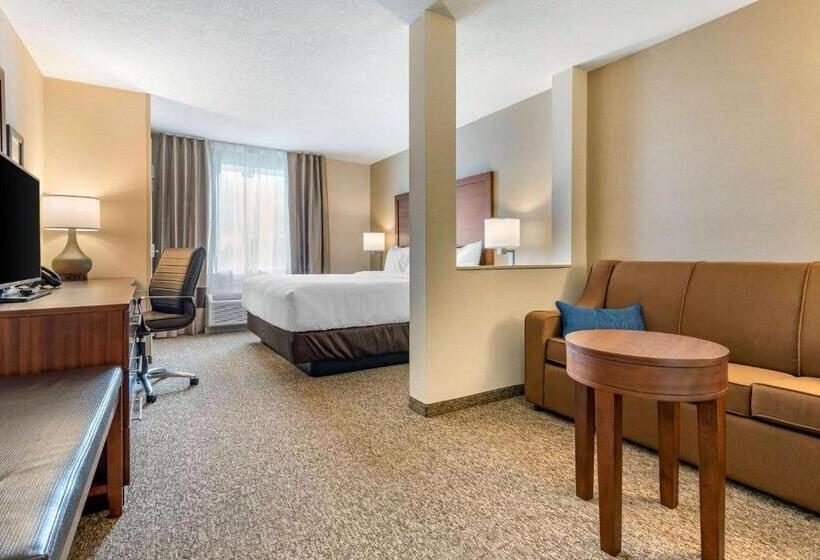 Люкс Кровать Кинг, Comfort Inn & Suites