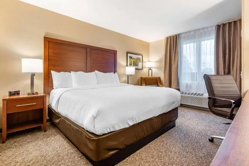 身障者適用スタンダードルーム, Comfort Inn & Suites