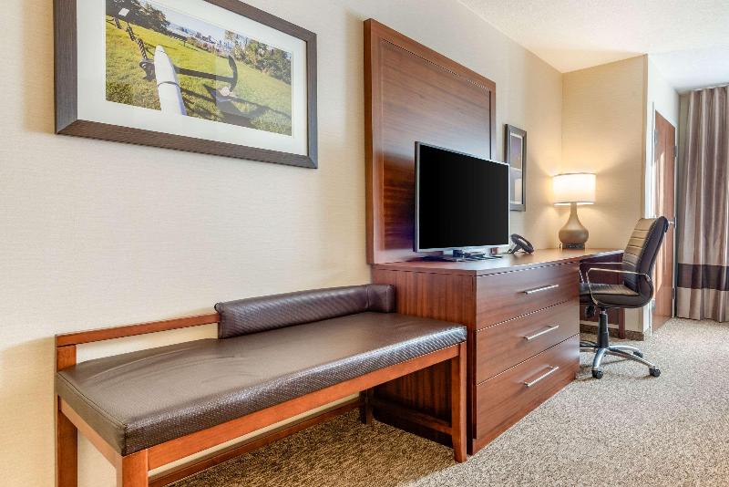 Люкс Кровать Кинг, Comfort Inn & Suites