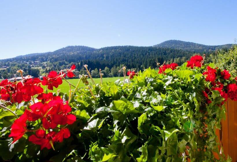 Номер Стандарт с Балконом, Pension Schuasterhof