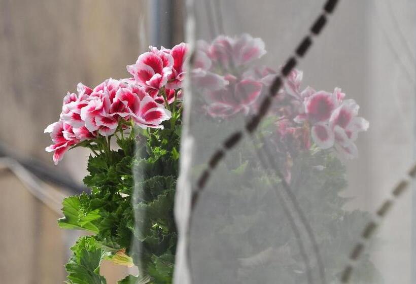 Standard-studio King-vuode, Villa Stagnja