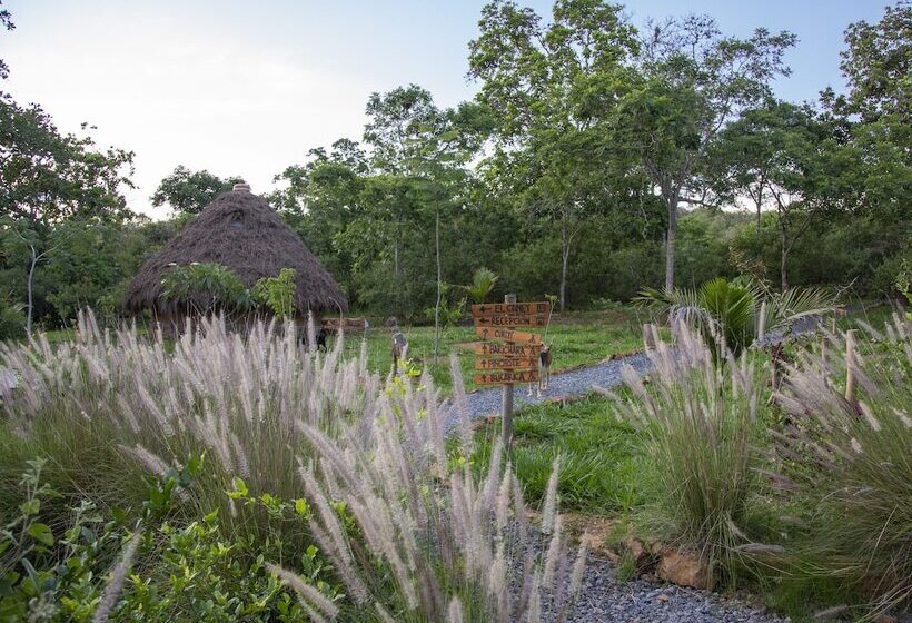 스탠다드 룸, Nativo Glamping