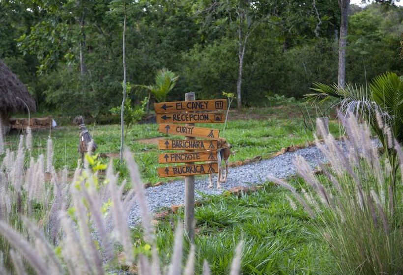 프리미엄 룸, Nativo Glamping