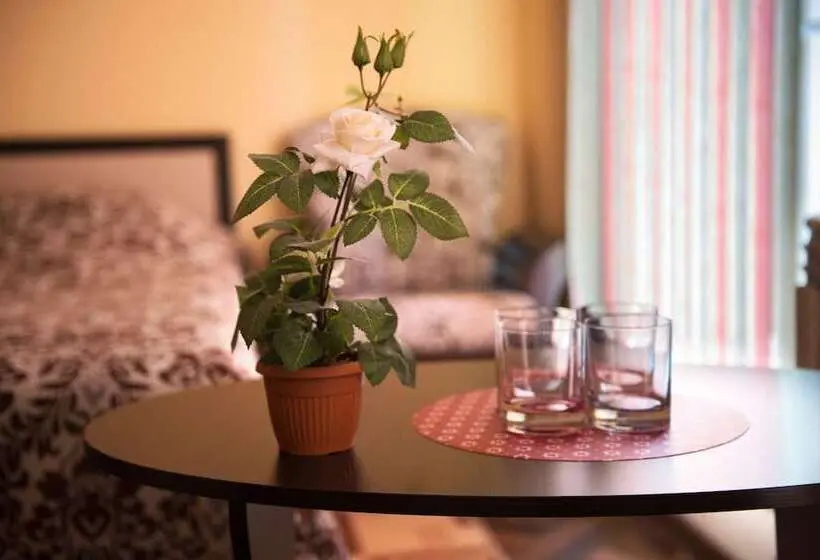 Chambre Quadruple Standard, Siyanie