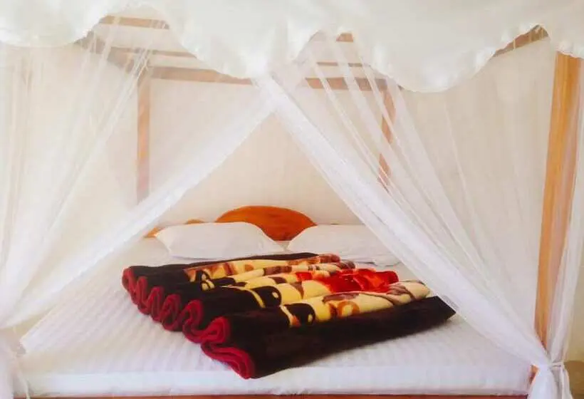 デラックスルーム, Lilly Guest Inn