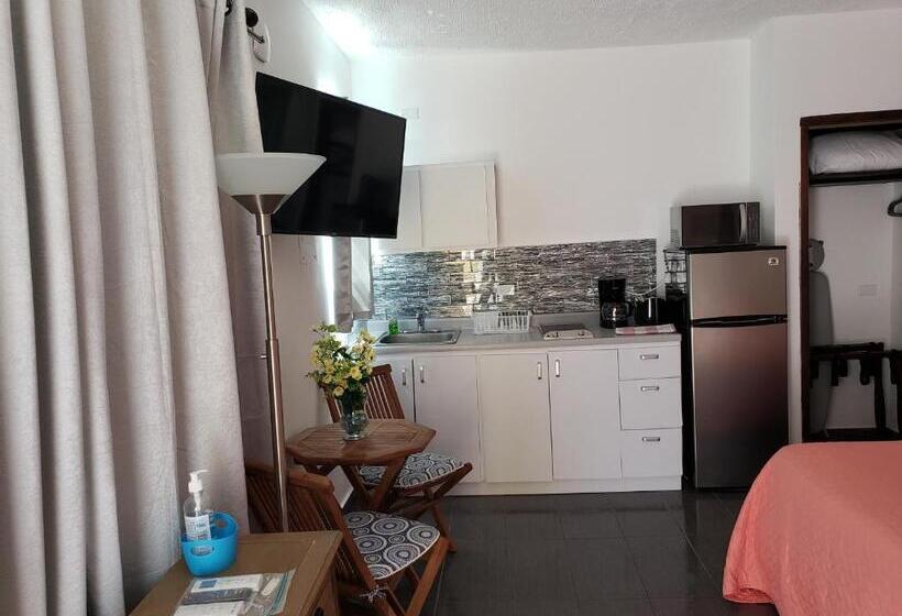 استودیو خانوادگی, Andalucia Guest House