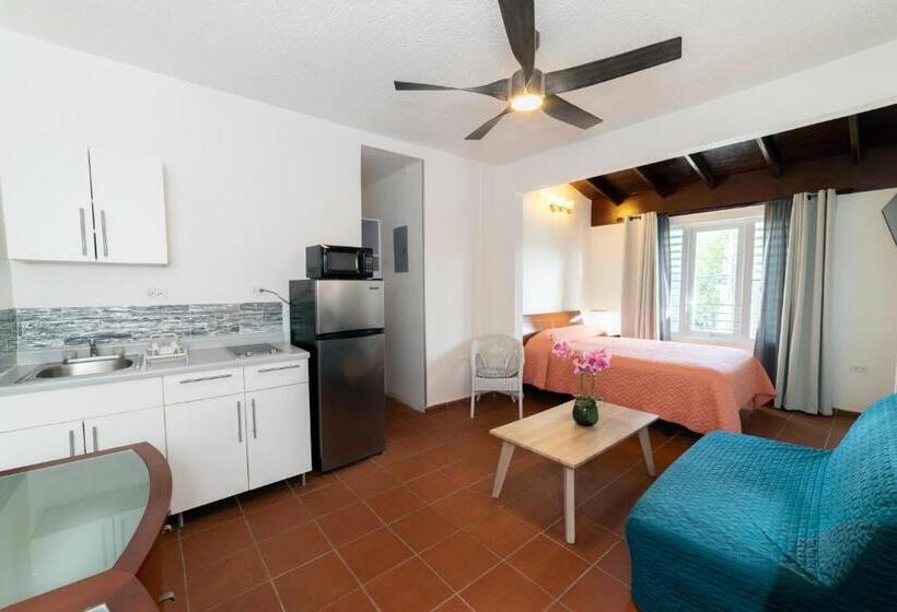 سوییت جونیور, Andalucia Guest House