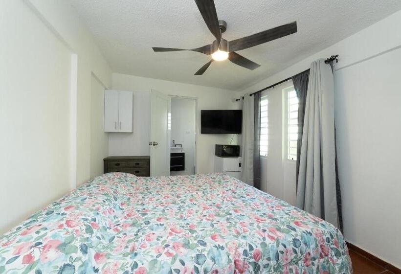 اتاق استاندارد با تخت بزرگ, Andalucia Guest House