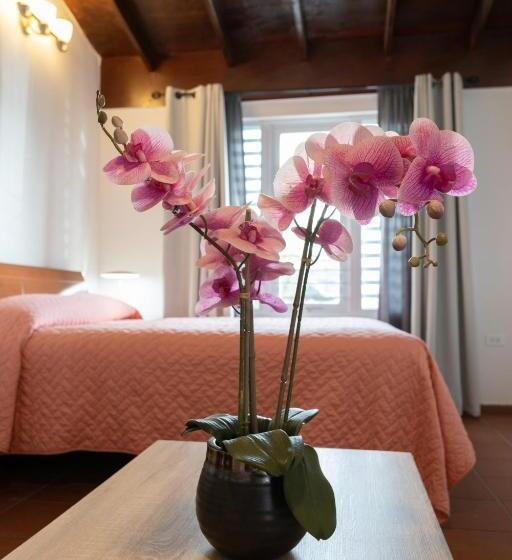 سوییت جونیور, Andalucia Guest House