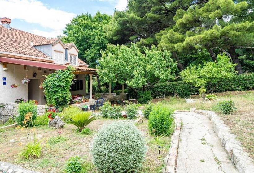 侧面海景基本房, Apartment & Rooms Papa