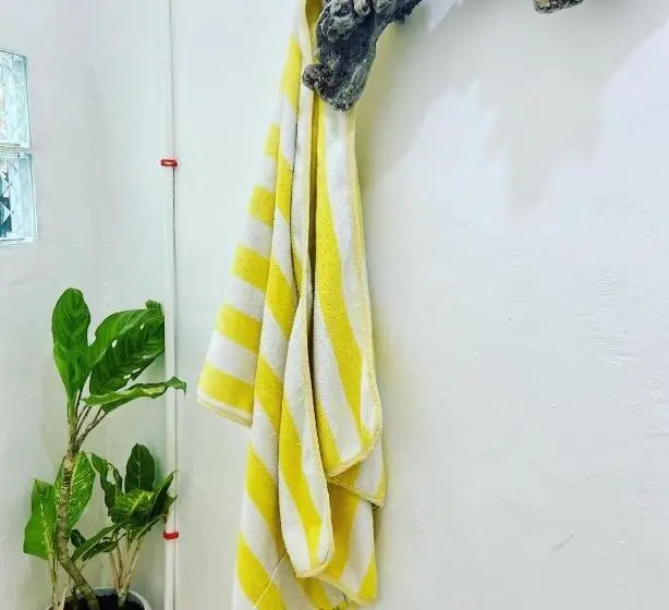 ルームシェアのワンベッド, Babu Backpackers Inn
