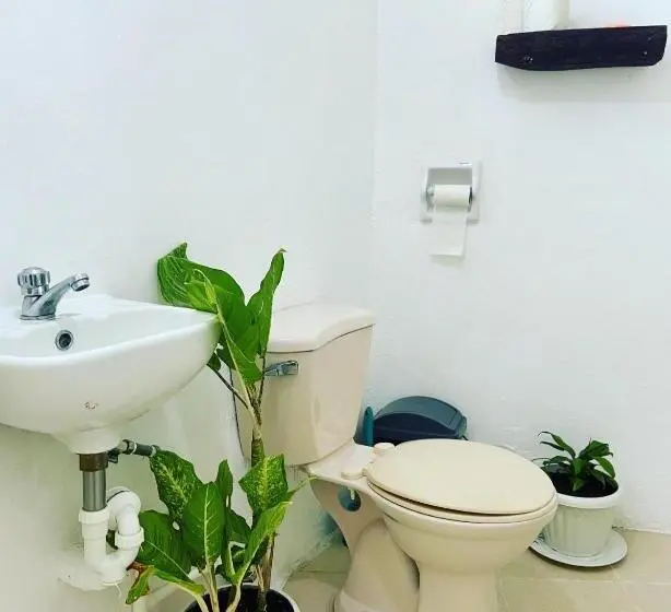 ルームシェアのワンベッド, Babu Backpackers Inn