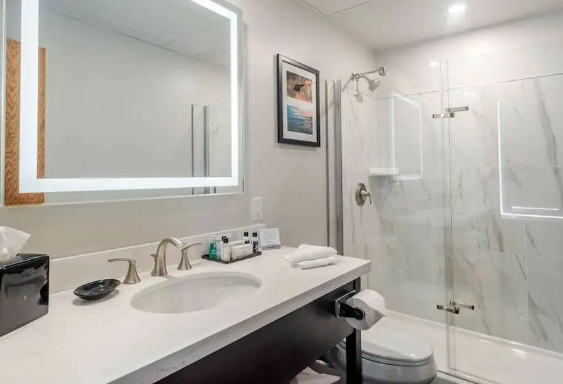 اتاق استاندارد با تخت دوبل, The Courthouse Hotel, Ascend Hotel Collection