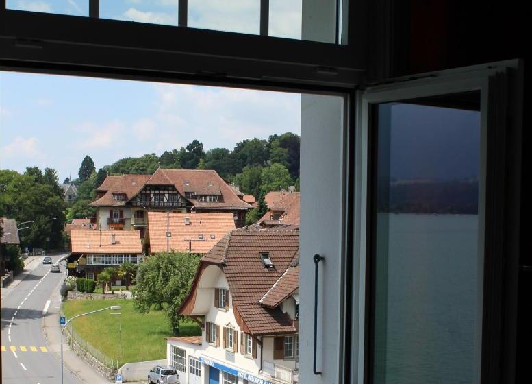 带城市景观的标准单人间, Restaurant Bellevue Au Lac