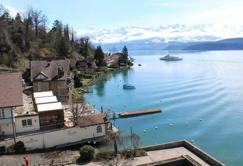 シングルデラックスルーム, Restaurant Bellevue Au Lac