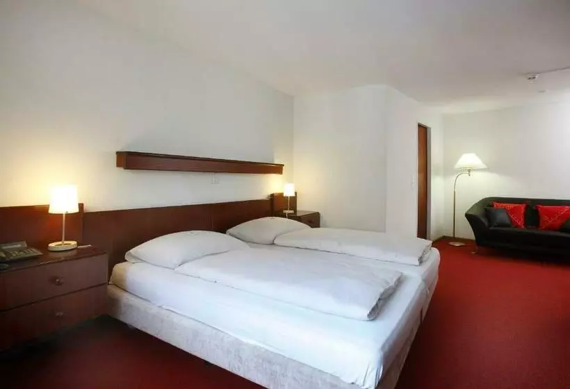 Standard Room, Spalenbrunnen Hotel & Restaurant Basel City Center