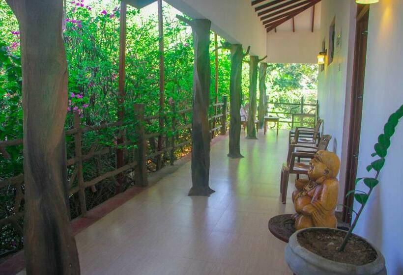 اتاق خانوادگی, Hungry Lion Sigiriya