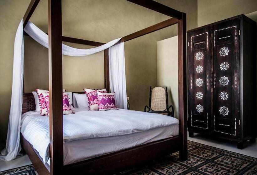 سوئیت جونیور با تراس, Dar Camelia