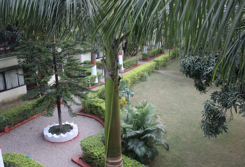 Habitació Superior, Signature Corbett