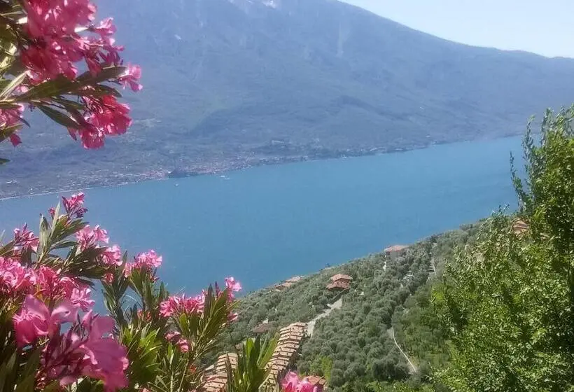 اتاق لوکس, Corte Di Tosina