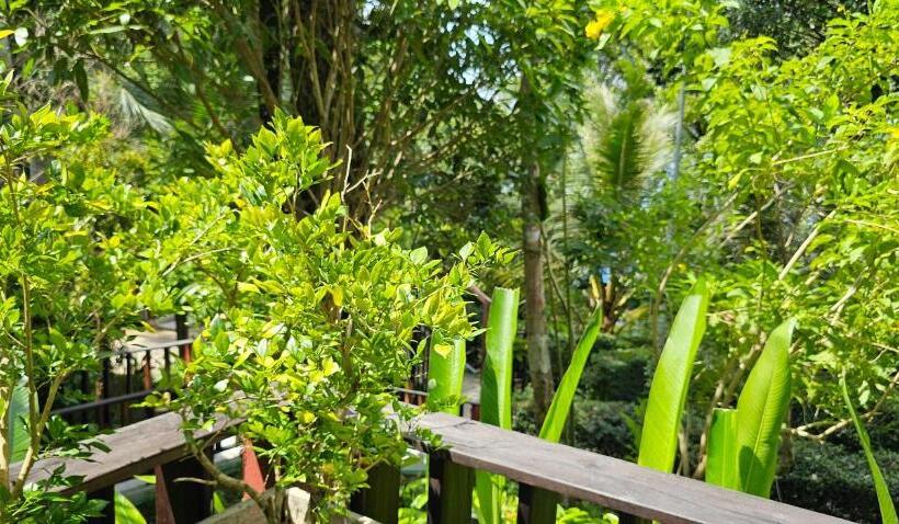 בקתה דלוקס, Pearl Beach Resort & Spa