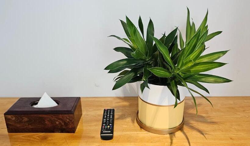 בקתה דלוקס, Pearl Beach Resort & Spa