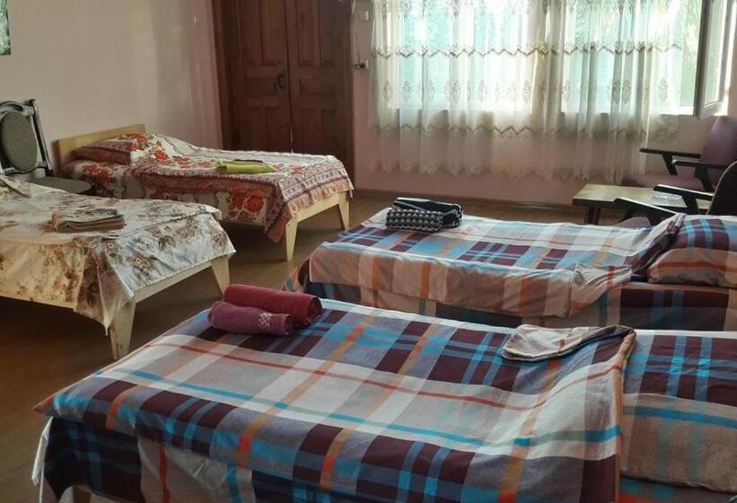تختخواب در اتاق مشترک, Cozy Home