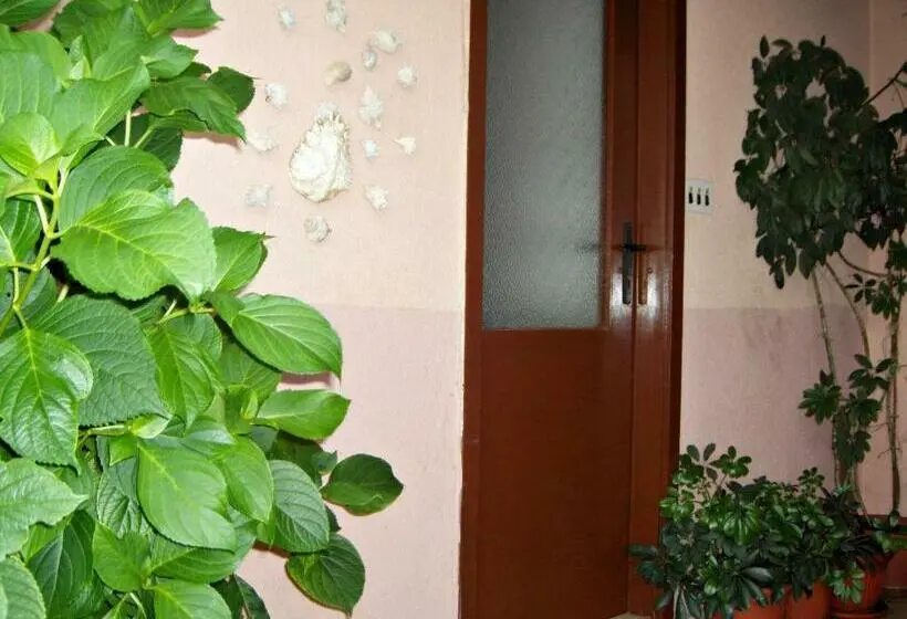 اتاق استاندارد با تراس, Guest House Roza