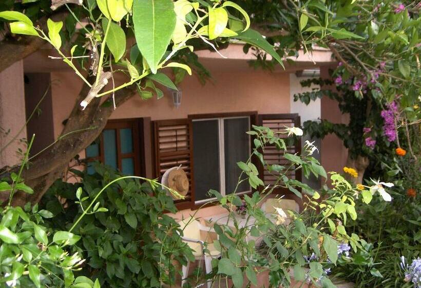 חדר סטנדרט עם טרסה, Guest House Roza