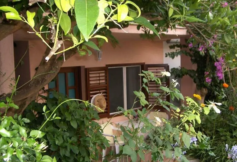 اتاق استاندارد با تراس, Guest House Roza