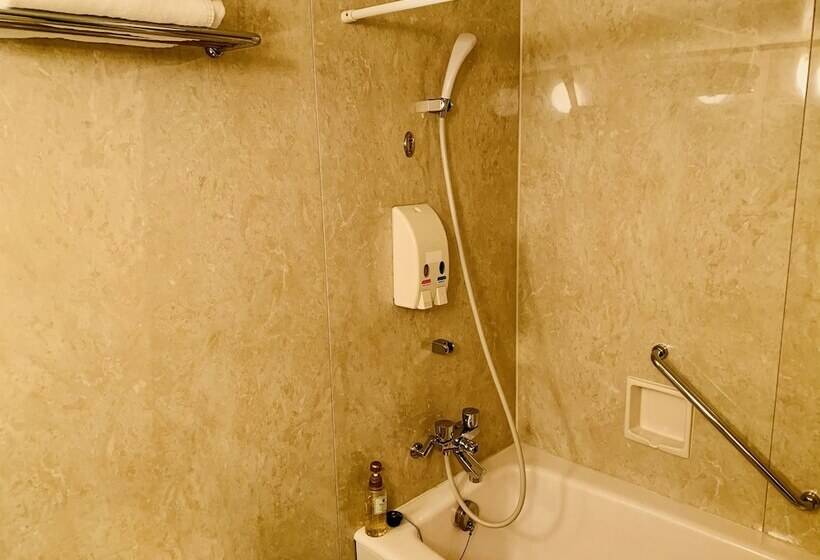 غرفة قياسية, Island