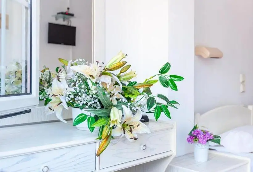 استودیوی استاندارد, Apart Hotel Blumarin