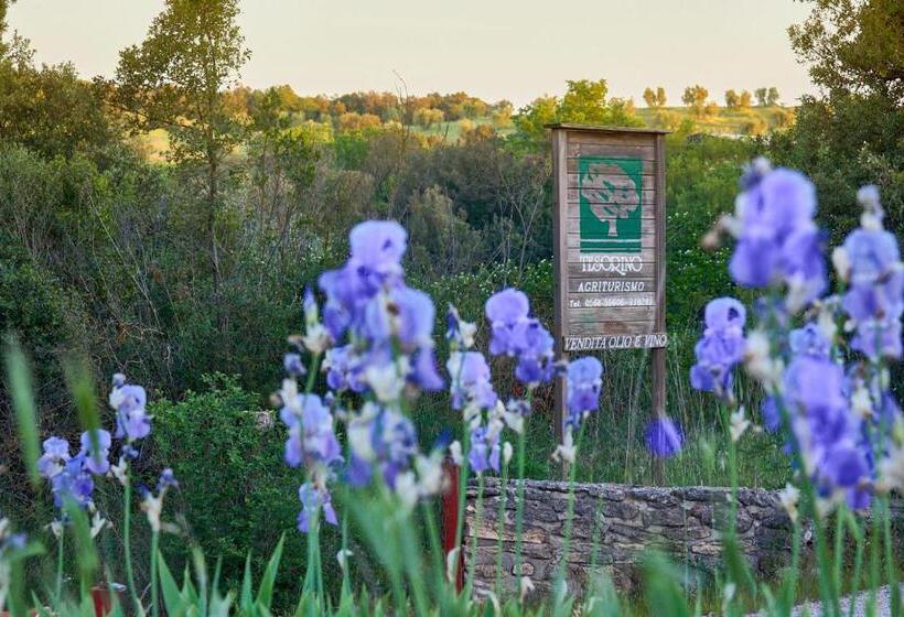 Апартаменты 1 Спальня с Террасой, Agriturismo Tesorino