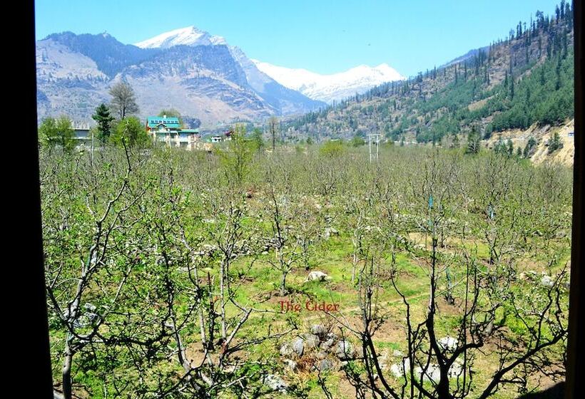 غرفة كلاسيكية سرير مزدوج, The Cider