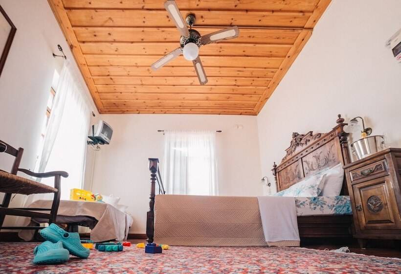 غرفة عائلية, Rigas Pension Nafplio