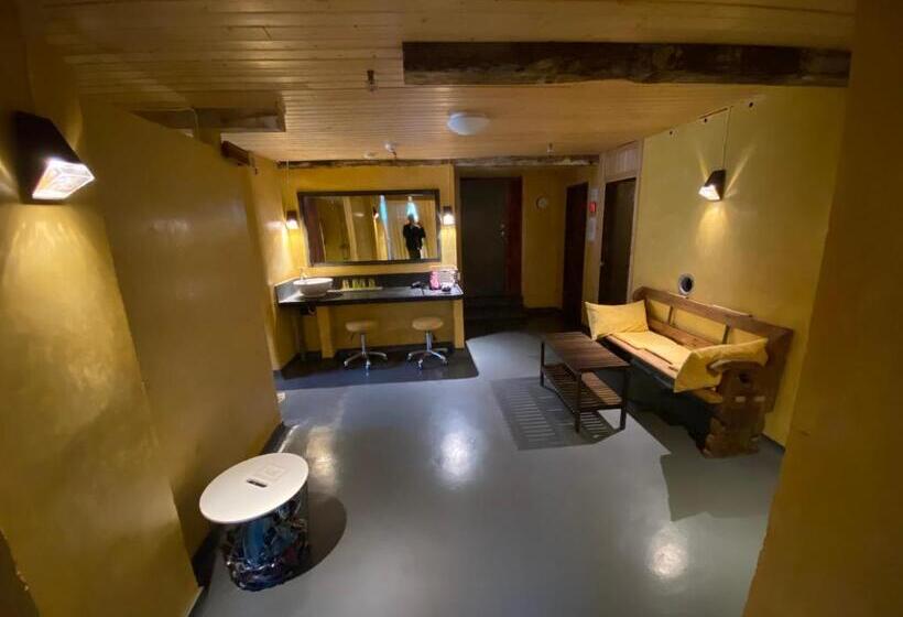 اتاق استاندارد با سرویس بهداشتی مشترک, Hafaldan Hi Hostel, Old Hospital Building