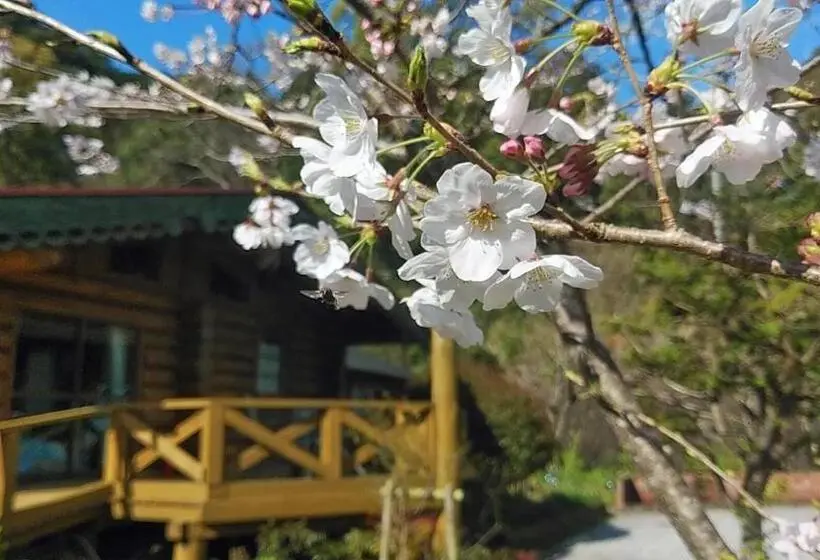 家族用バンガロー, Pension Shishikui